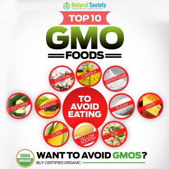 top-10-gmo-foods-330x330